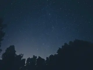Star-filled night sky above a forest